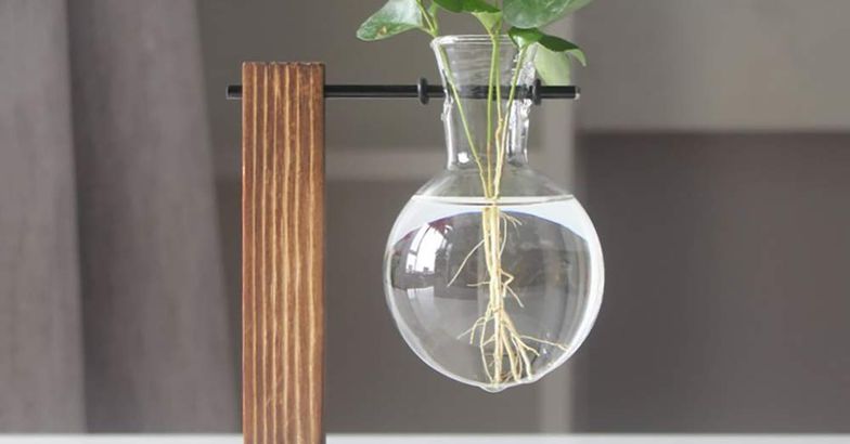 Eyourlife Plant Terrarium
