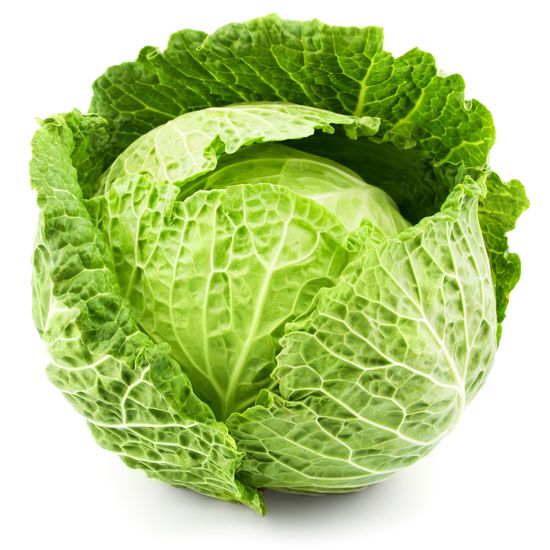 072215 smmr prdc 2 fs