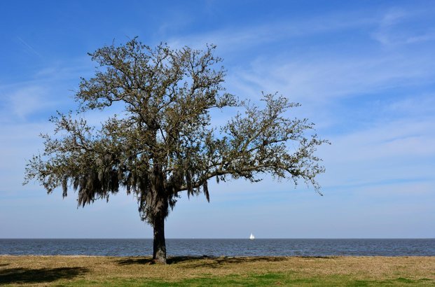 Lake Pontchartrain