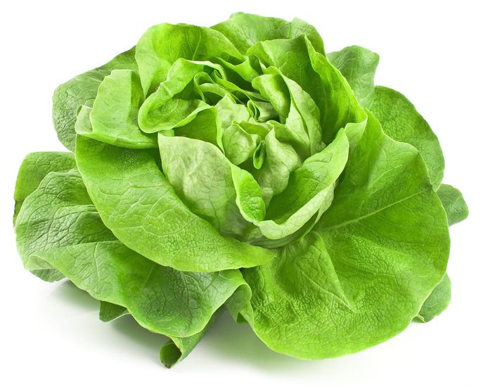 072215 smmr prdc 8 fs