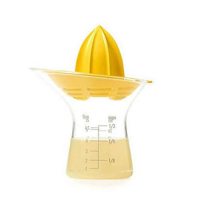 Citrus Juicer