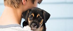 cost to raise a puppy