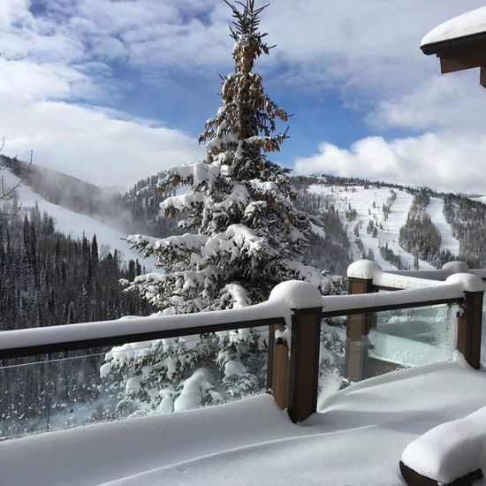 The Winter Wonderland: More