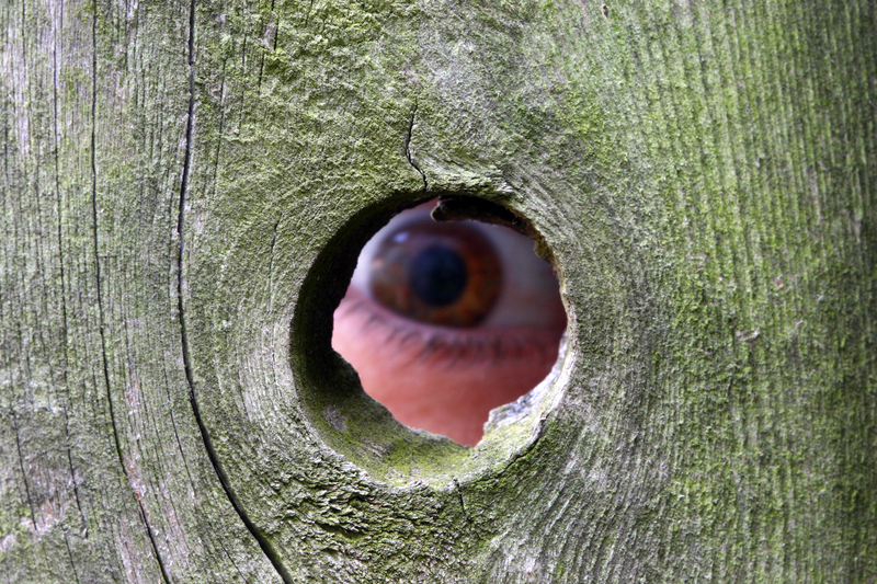 Bad Neighbor Horror Stories Cheapism Com