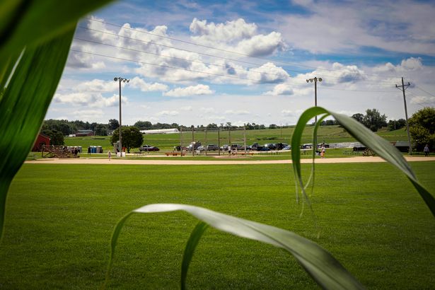 A View Through Cornstalks From the Cornfield of the Lansing Family Farm with the Baseball Diamond, Dubuque County, Iowa