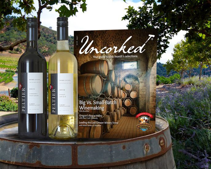 19 Cheap Wine Clubs Reviews of Wine Subscription Boxes