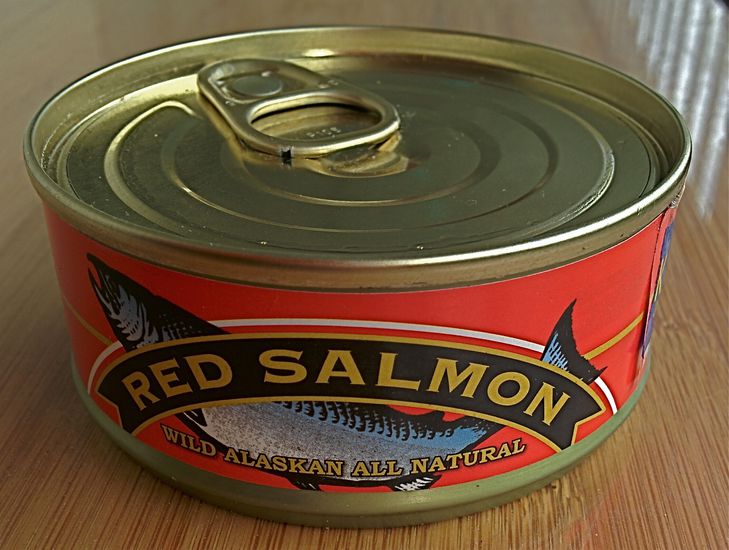 The 15 Best Canned Salmon Recipes For A Cheap And Easy Meal the-15-best-canned-salmon-recipes-for-a-cheap-and-easy-meal
