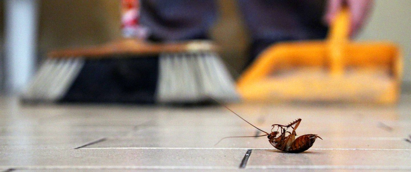 Commercial Disinfecting In Marysville