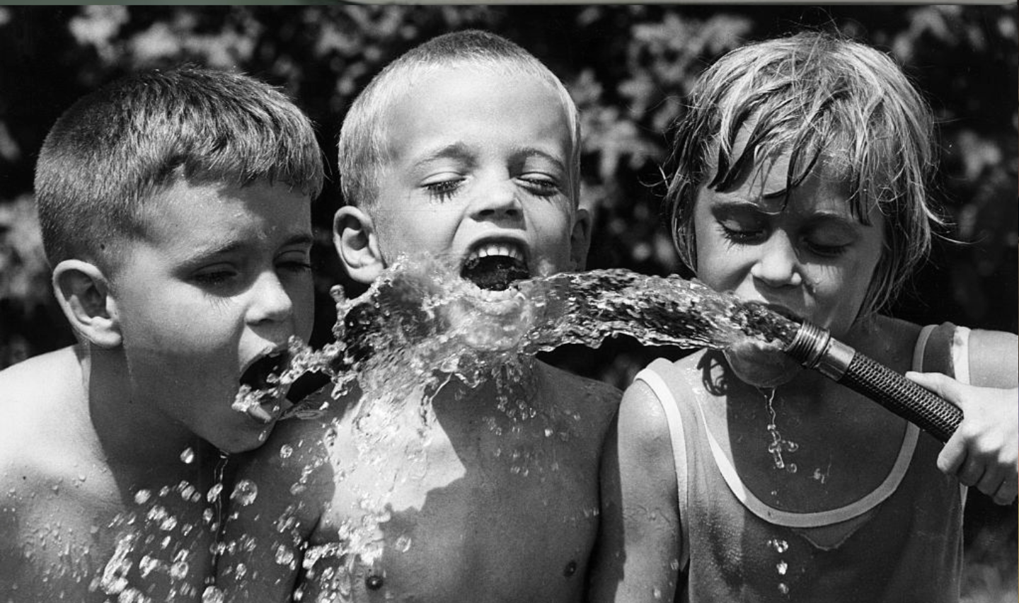 On a hot day in St. Petersburg, Florida, Jimmy Tolisano (left), Gerald Wolf, and Jimmy's sister, Valerie, drink from a garden hose in order to stay cool.