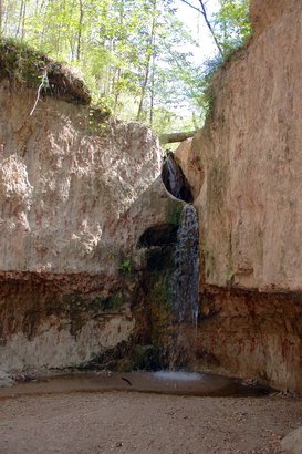 Clark Creek Natural Area, Mississippi