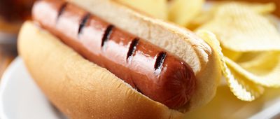 Closeup of Hot Dog in Bun on a Plate with Potato Chips