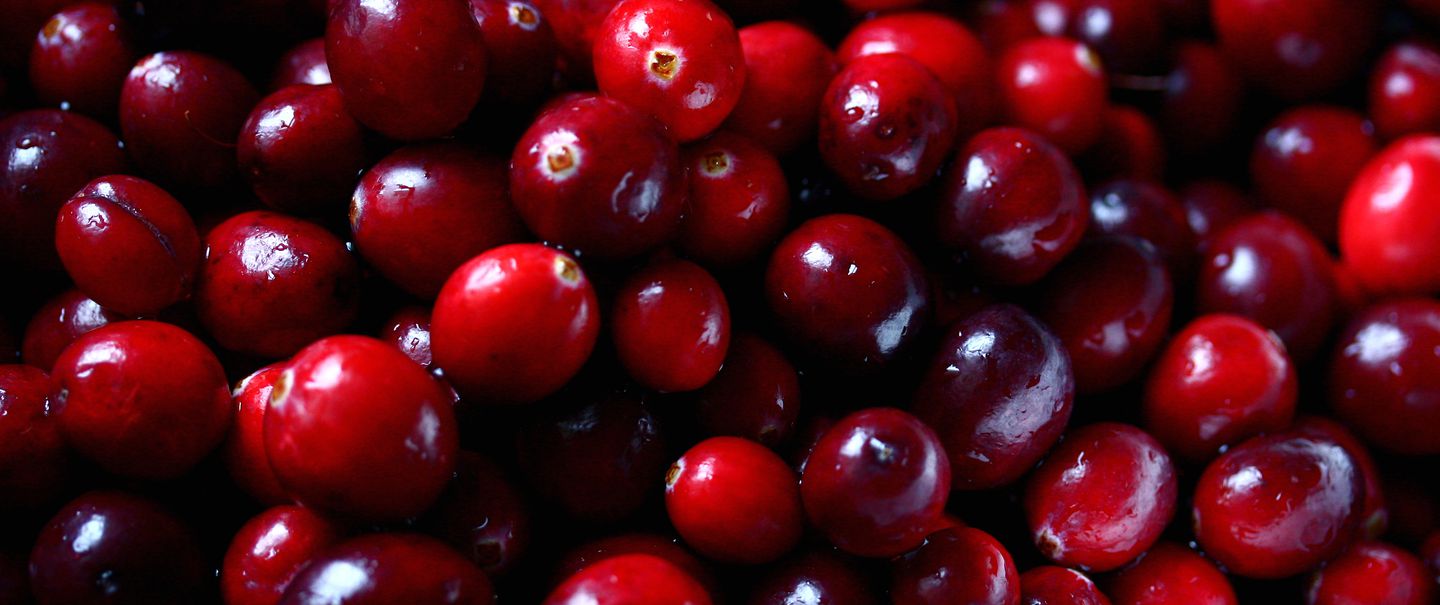 Fun Cranberry Facts and Trivia
