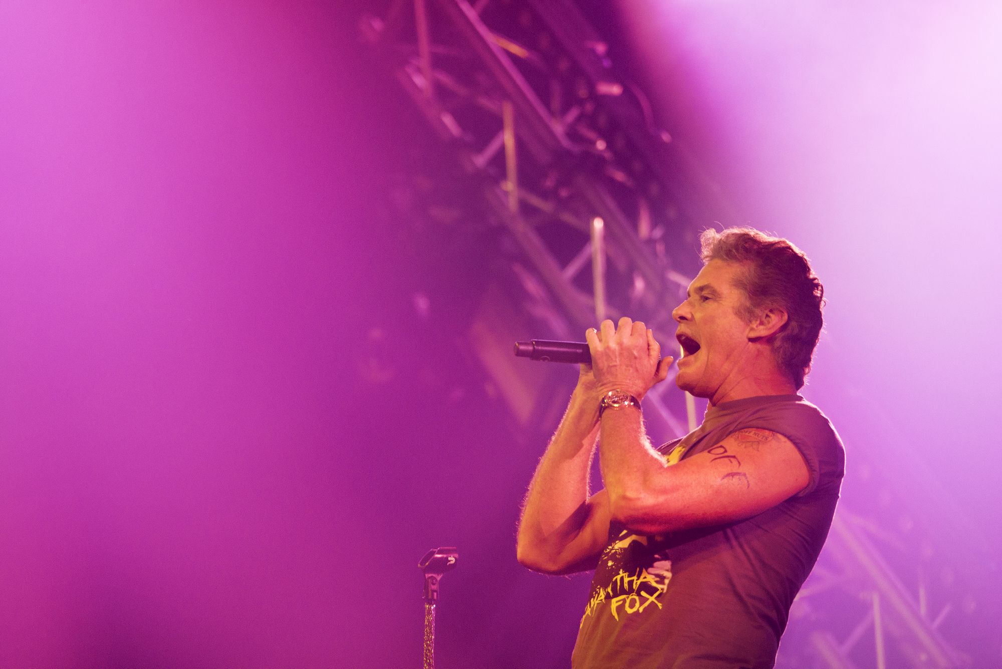 20. Maryland’s David Hasselhoff