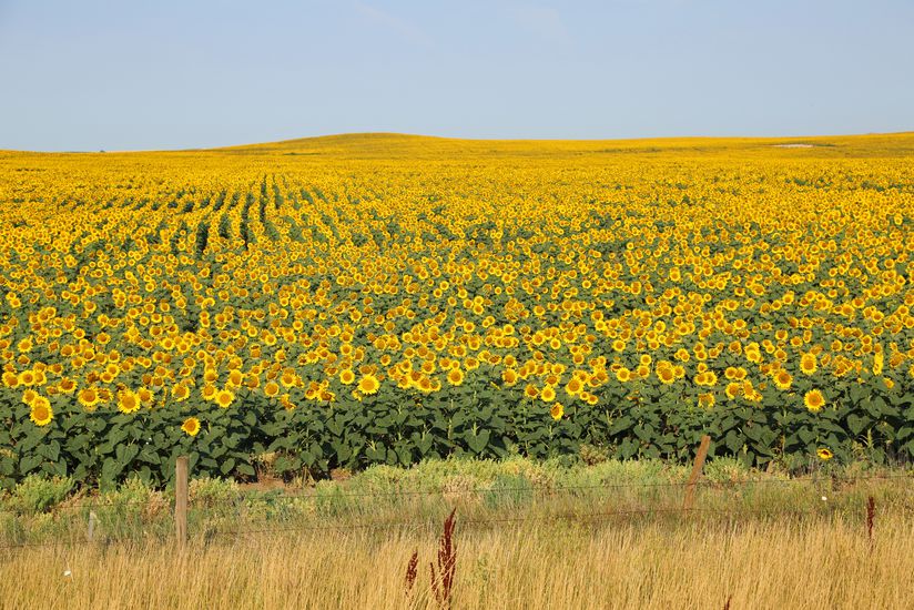 North Dakota