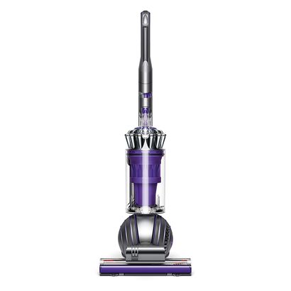 Dyson Ball Animal 2 Vacuum Winner