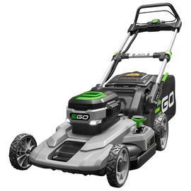 Ego LM2101