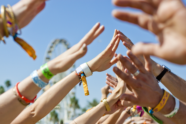 Event Manager or Festival Worker