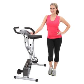 Exerpeutic 250XL