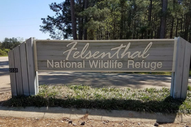 Felsenthal National Wildlife Refuge