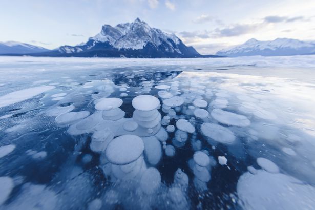 Abraham Lake