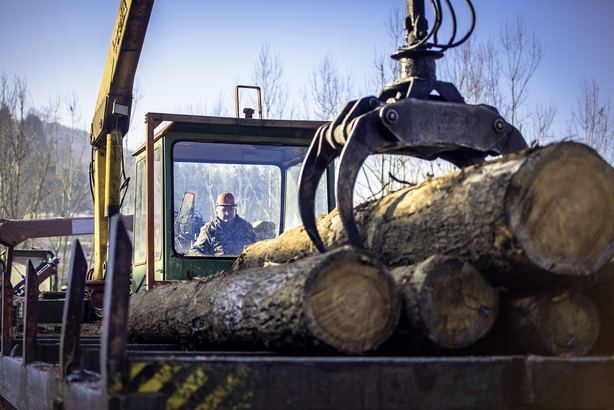 Logging