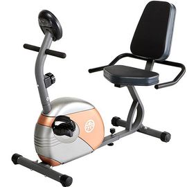 Marcy Recumbent Mag Cycle