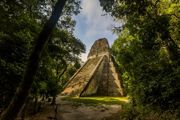 Mayan Temple Ruins, Tikal National Park, Guatemala, a Temple Through the Trees