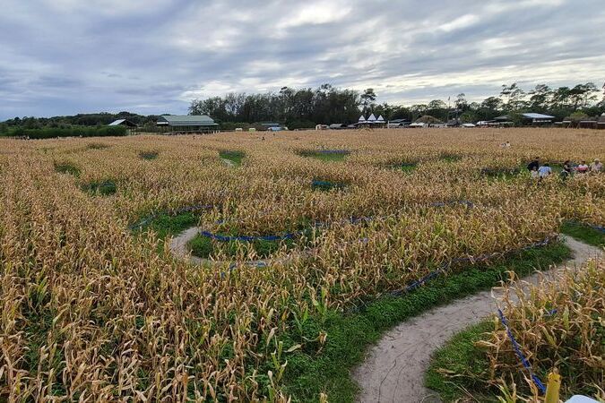 Scott's Maze Adventures, Mount Dora, Florida
