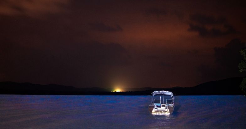 mosquito bay, bioluminescent bay, vieques, at night