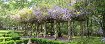 Most Romantic Places