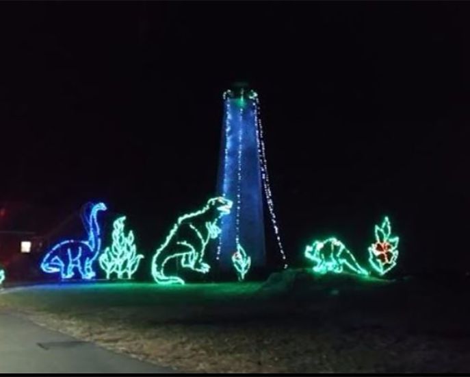 Spectacular DriveThru Christmas Light Displays