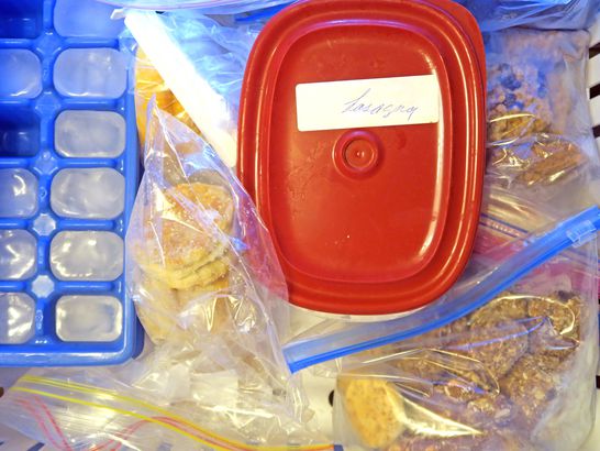 Leftovers in Freezer