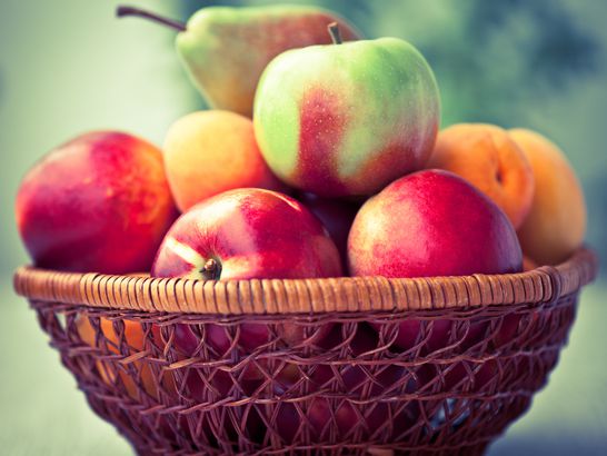 Fruit Bowl