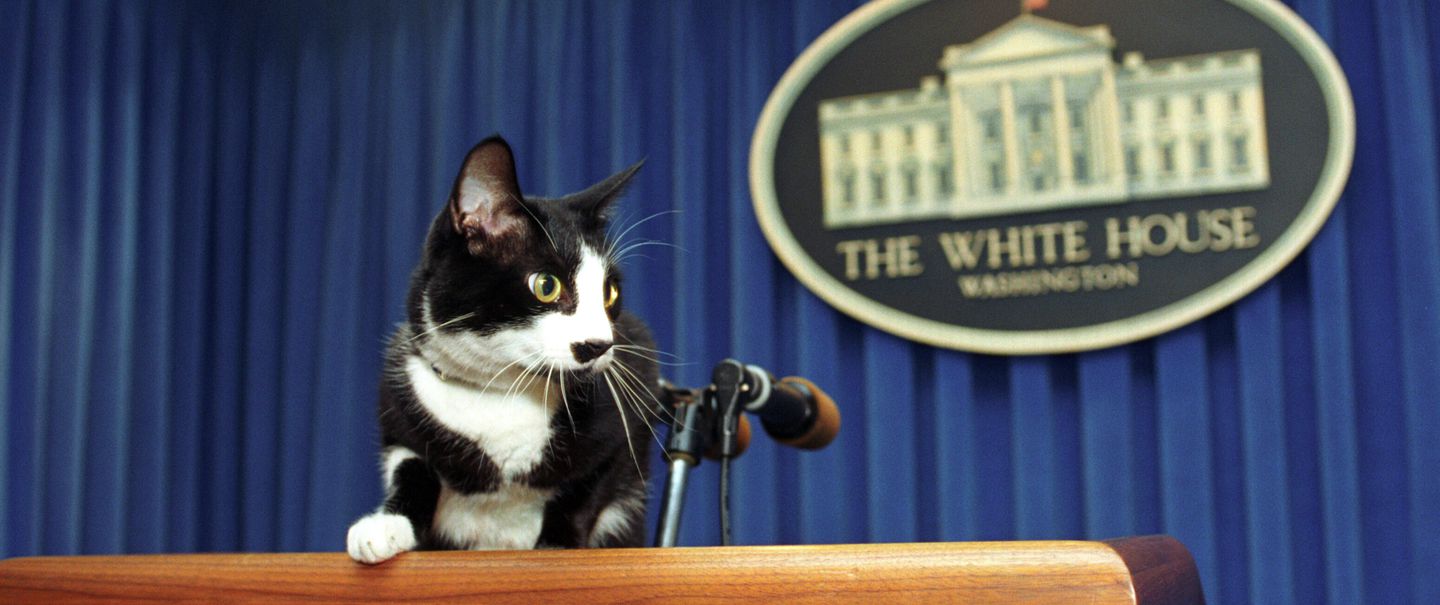 Socks at the White House Press Briefing Room lectern in 1993