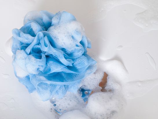 Loofah