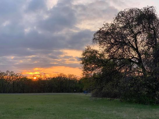 Hickory Creek Campground