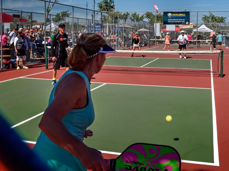 Fun Facts About Pickleball