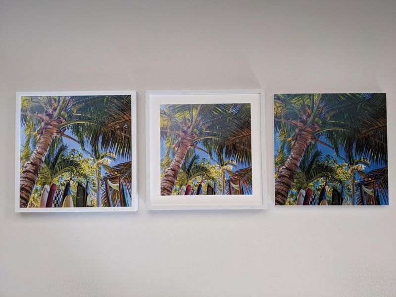 All Palms