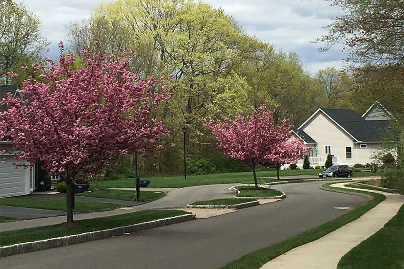 21 lugares de lujo para jubilarte