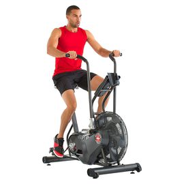 Schwinn Airdyne AD6
