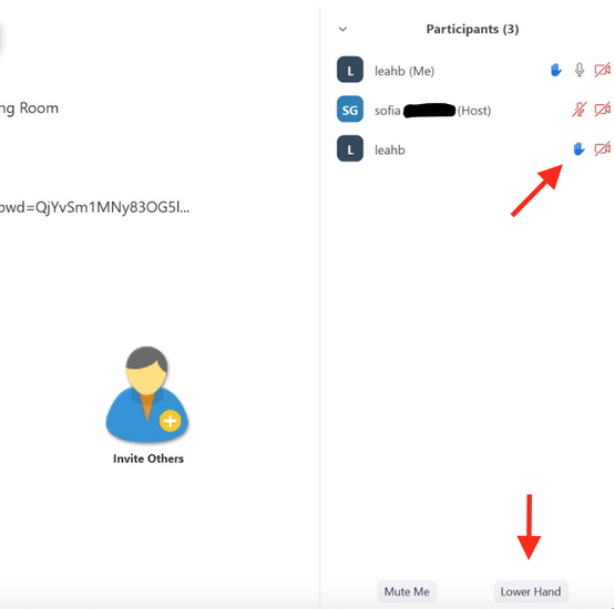 raise your hand zoom