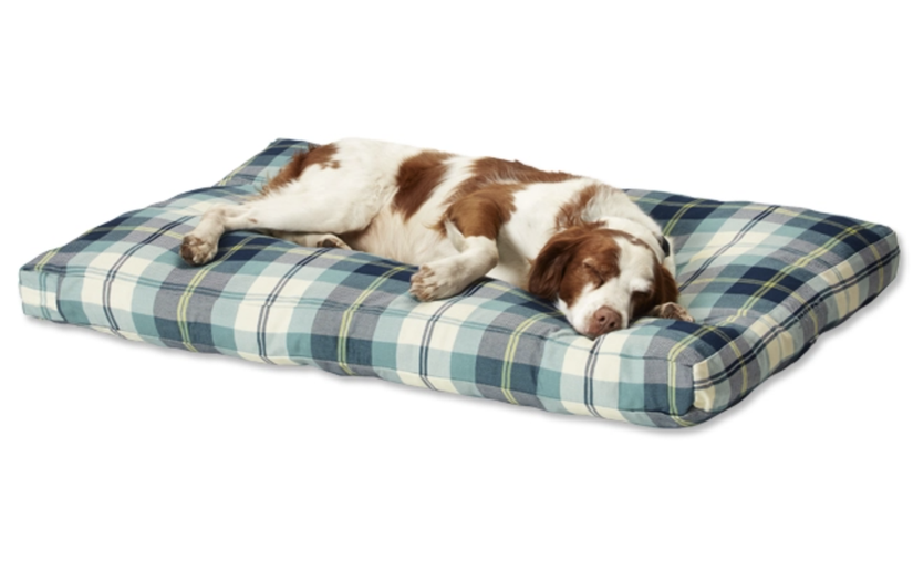 23 Best Dog Beds 2022 Cheap Mattresses for Dogs Large & Small