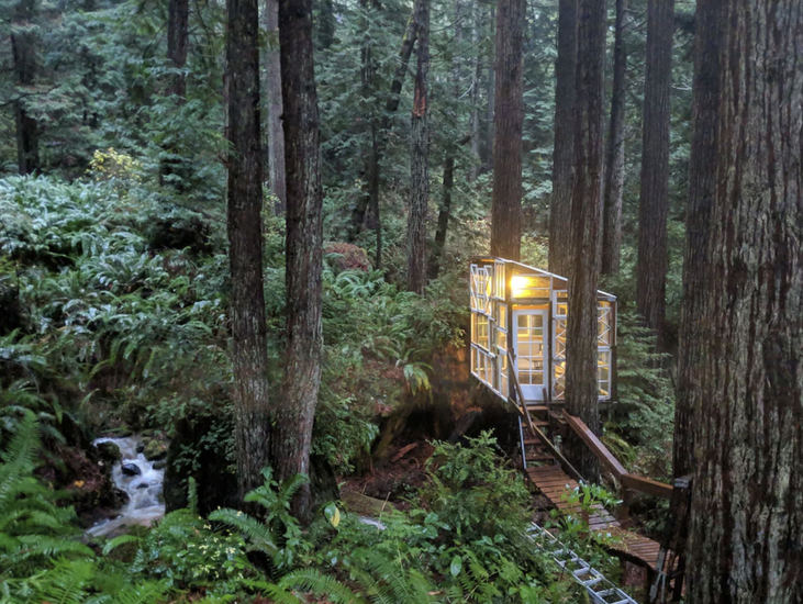 Creekside Cabin near Redwoods: More