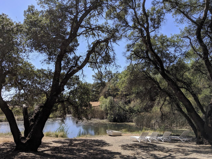 Cabin on Long Ranch: More