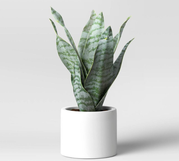 The Highest Rated Items at Target