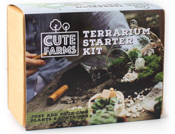 Terrarium Starter Kit