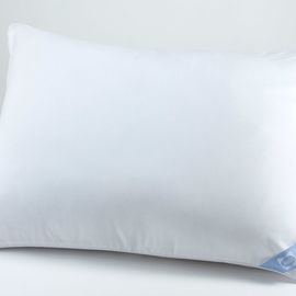 Sealy Posturepedic Moisture Wicking