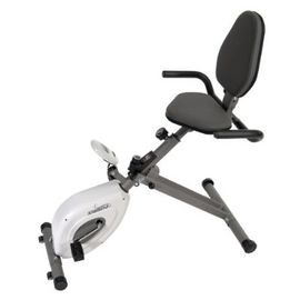Stamina 15-0200 InTone Folding Recumbent Bike