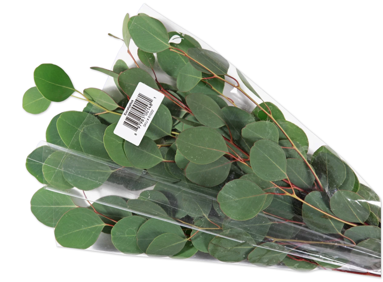 Trader Joe's Best 'NonFood' Grocery Items