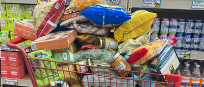 Trader Joe's Shopping Cart